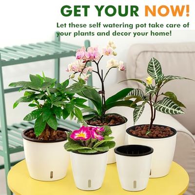 Planterhoma Vasi autoirriganti per piante da interno, 17 cm, confezione da 6 vasi per violette africane, con indicatore, vaso nero con fori di drenaggio, fioriere autoirriganti per orchidee, edera del