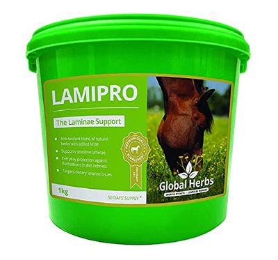 Global Herbs Lamipro Powder 1kg - Clear, 1Kg