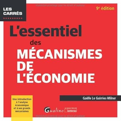 L'essentiel des mécanismes de l'économie: Une introduction à l’analyse économique et à ses grands mécanismes