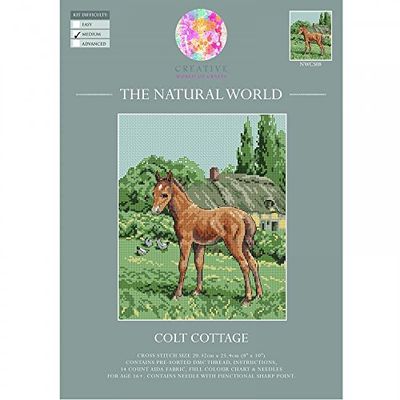 Creative World of Crafts - Kit de Punto de Cruz Manualidades, Tela, Multicolor, 34 x 22 x 1 cm