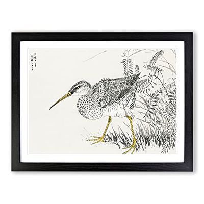 Whimbrel Bird & Wisteria Vine By Numata Kashu Asian Japanese Framed Wall Art Print, Ready to Hang Picture for Living Room Bedroom Home Office Décor, Black A4 (34 x 25 cm)
