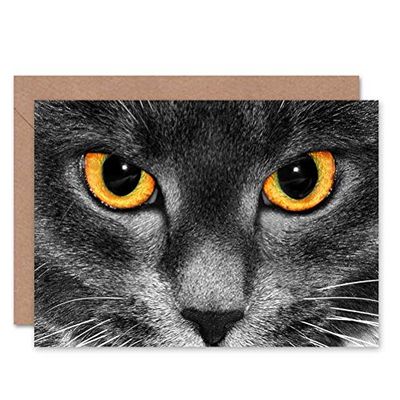 Wee Blue Coo CAT EYES PHOTOGRAPH CLOSE UP BLANK GREETINGS BIRTHDAY CARD ART