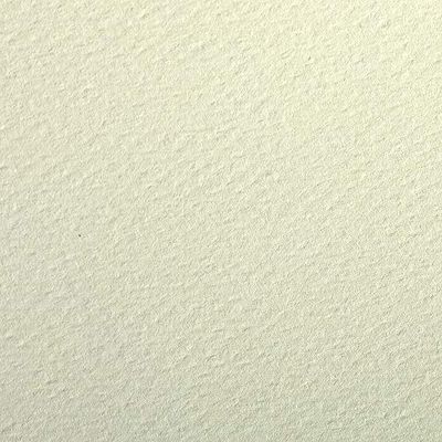 Clairefontaine – Ref 93892C – etivalfärgat kornigt ritpapper (paket med 25 ark) – A4 (29,7 x 21 cm) – 160 gsm cellulosa konstpapper – ljusgrön – syrafri, pH-neutral