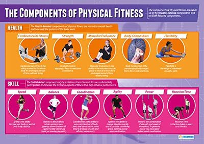 Daydream Education Components of Physical Fitness | Poster PE | Carta lucida laminata misura 850 mm x 594 mm (A1) | Grafici di educazione fisica per l'aula | Grafici educativi