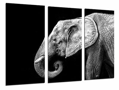 MULTI Houten Afdrukken Art Print Box Ingelijste Beeld Wandopknoping - Olifant Wit en Zwart, Dieren Wilds, Natuur, (Totale Grootte: 38,2" x 24,4"), Ingelijst En Klaar om op te hangen - ref. 26855