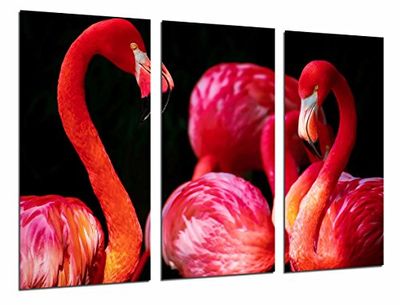 Fotografering Djur Flamingo Rosa, Röd, Vilda djur Total storlek: 97 x 62 cm XXL