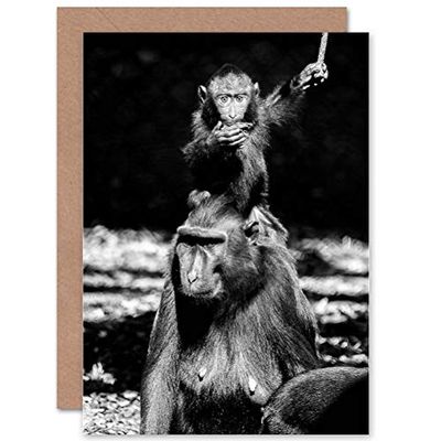 Wee Blue Coo GREETINGS CARD BIRTHDAY GIFT DIERLIJKE FOTO SULAWESI CRESTED MACAQUE FAMILY