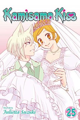 Kamisama kiss: 25