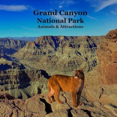 Grand Canyon Park Animals and Attractions Kids Book: Great Way for Kids to See the Grand Canyon National Park
