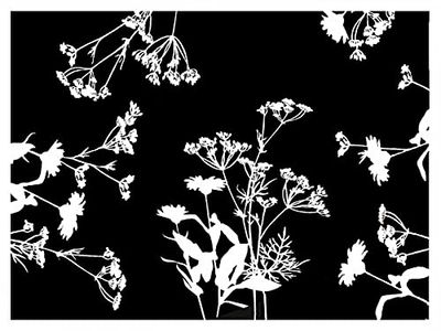 Pro Nappe - Réf 314326I - Set de table jetable en papier gaufré, à l'imprimé floral noir et blanc - Format 30X40 cm - Fabriqué en France - En barquette de 500 sets.