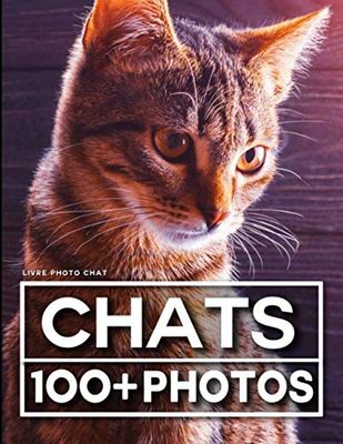 Livre Photo Chat: 100 Belles Images Dans Ce Livre Photo Fantastique