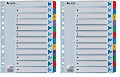 Esselte Índices Numéricos de Cartón Mylar, Tamaño A4, Tipo 1-12, Multicolor, 100162 (Paquete de 2)
