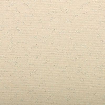 Clairefontaine - Ref 93502C - Ingres Pastel Coloured Paper (Pack of 25 Sheets) - 50 x 65cm, 130gsm Drawing Paper, Marbled Cream - Suitable for All Dry Techniques
