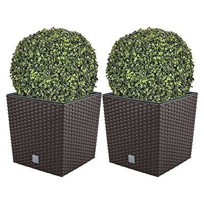 Double ratio de fleur 32 litres avec bécher pour la plantation en chocolat couleur 33 x 33 x 33 cm + Boj Diamètre de la boule 36 cm