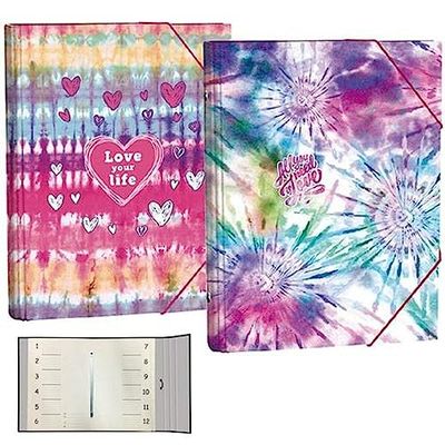 SENFORT Sorting Folder, Multicoloured, Estándar