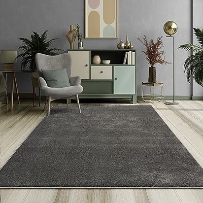 Mia´s Teppiche Emely Tapis de Salon Moderne à Poils Courts (17 mm)