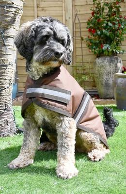 Rhinegold Manteau imperméable pour Chien Marron 80 cm