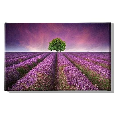 Homemania HM20KNV45x70-138 Cuadro Flores, Multicolor, 45 X 3 X 70 Cm