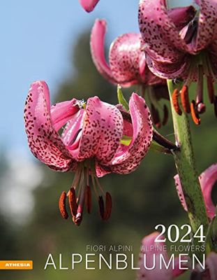 Alpenblumen Calendar 2024: Fiori alpini - Alpine Flowers