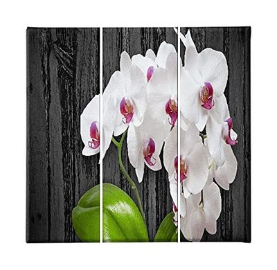 Homemania Tableau Fleurs - 3 Pieces - Nature - pour Salon, Chambre - Multicouleur en Polyester, Bois, 69 X 3 X 50cm - HM203PKNV-194