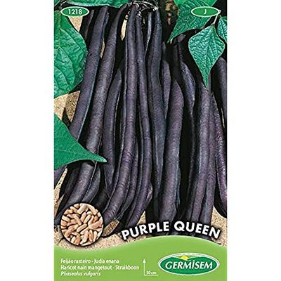 Germisem Purple Queen Graines de Haricots Français 100 g EC1218 Multicolore