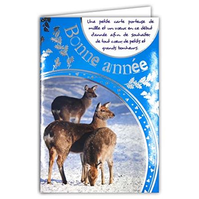 Set van 10 identieke kaarten "Happy Year", met 10 enveloppen, geschikt voor formaat 12 x 17,5 cm, winterwensen, kerstfeesten, Nieuwjaar, december, januari, LOT10-61-4049-B BA