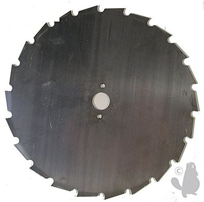 Greenstar 3463 Disque maxi pour débroussailleuse 200 x 20,0 x 1,6 mm