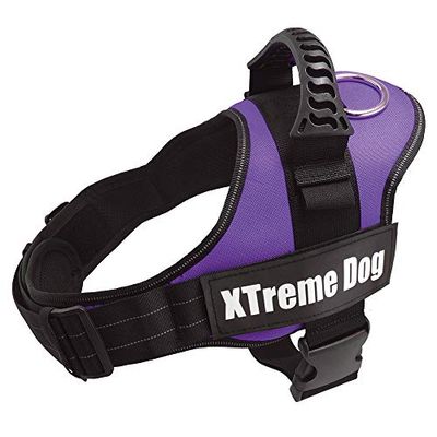 Arquivet Xtreme Hondentuigje voor honden, paars, maat L/70-95 cm, verstelbaar, ergonomisch en robuust, incl. handvat aan de bovenkant, voor wandelen