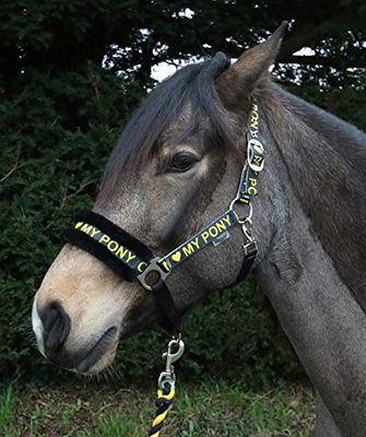 Rhinegold Love My Pony - Set di Copricapo e Corda, N Love My Pony, Copricapo e Corda, Colore: Giallo pannocchia, Giallo, COB