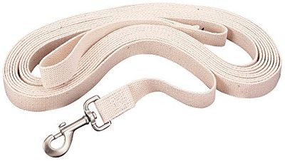 Weaver Leather Longe Plate en Coton avec Bouton-Pression, 2,5 cm x 9,1 m, Blanc
