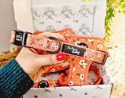 Collier pour Chien Pêche et Lierre Taille XS