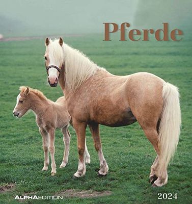 Horses 2024 - Postcard Calendar 16 x 17 cm - Horses - for Standing or Hanging - Monthly Calendar - Gadget - Souvenir - Alpha Edition