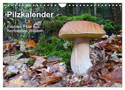 Pilzkalender (Wandkalender 2025 DIN A4 quer), CALVENDO Monatskalender: Essbare Pilze aus heimischen Wäldern im Jahresablauf