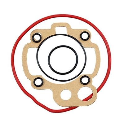 cyclingcolors Afdichtingsset afdichting motor cilinder motorfiets bromfiets scooter compatibel met AM6 Minarelli