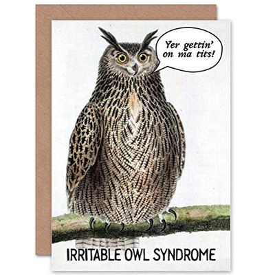 Wee Blue Coo FUNNY OWL FUN BIRD CHEEKY ART GREETINGS GREETING CARD GIFT