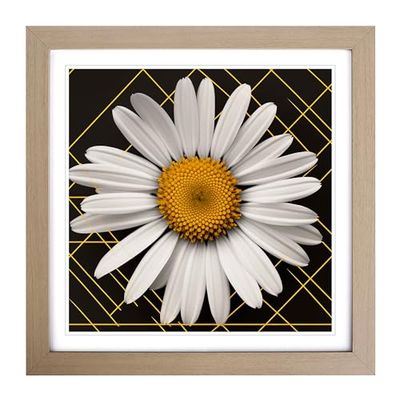 Daisy Constructivism No.2 Framed Wall Art Print, Ready to Hang Picture for Living Room Bedroom Home Office, Oak 18 x 18 Inch (45 x 45 cm)