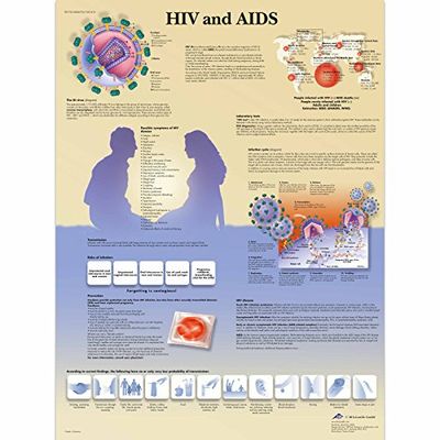 3B Scientific Tabla científica Vih Y Vida Útil De Ayudas De Diseño Con La Escala De