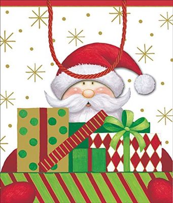 Caspari Sacchetto Regalo-Babbo Natale, Carta