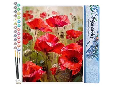 Figured'Art Peinture par Numéro Adulte Champ de Coquelicots - Activité Manuelle Kit de Loisir Créatif DIY Numéro d'Art Complet - 40x50cm sans châssis en bois