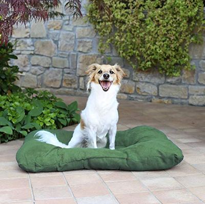 SOGNI E CAPRICCI PETS Paquete N.2 Cojines para Animales Smarty, Verde Oscuro, 77 x 60 cm