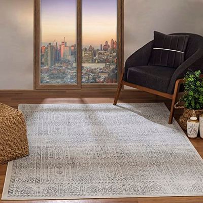 Surya Evora Tappeto Vintage -Tappeto per Soggiorno, Corridoio, Cucina - Tappeto Salotto Classico, Orientale, Facile Manutenzione Pelo Corto, Grande, Grigio, Ardesia e Avorio,120x170cm