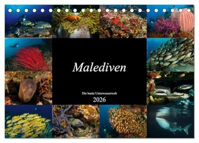Malediven - Die bunte Unterwasserwelt (Tischkalender 2026 DIN A5 quer), CALVENDO Monatskalender: Tauchen Sie ein in eine bezaubernde Unterwasserwelt