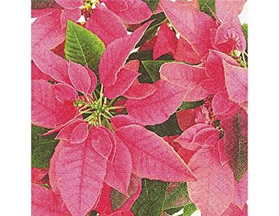 Servetter papper Pink poinseia 33x33cm. 20u.