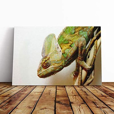 Big Box Art Canvas Print Wall Art Chameleon Lizard Reptile (3) | Mounted and Stretched Box Frame Picture | Home Decor for Kitchen, Living, Dining Room, Bedroom, Hallway, Multi-Colour, 24x16 Inch