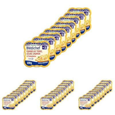Blédichef Ecrasé de Pommes de Terre, Céleri, Saumon à l'Islandaise (Lot de 4)