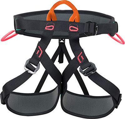 Climbing Technology Explorer W Arnés, Unisex Adulto, Verde Negro Rosa, Talla única