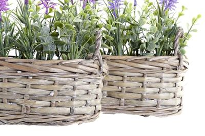 PLANTA MIMBRE PE 19X12X22 LAVANDA 2 SURT