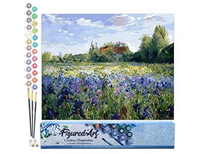 Figured'Art Peinture par Numéro Adulte A la Campagne - Activité Manuelle Kit de Loisir Créatif DIY Numéro d'Art Complet - 40x50cm sans châssis en bois