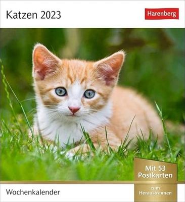 Katzen Postkartenkalender 2023. Jede Woche ein süßes Kätzchen im Postkarten-Fotokalender. Tisch-Kalender für Katzenfans, mit 53 Postkarten zum Sammeln ... Aufhängen.: Wochenkalender mit 53 Postkarten