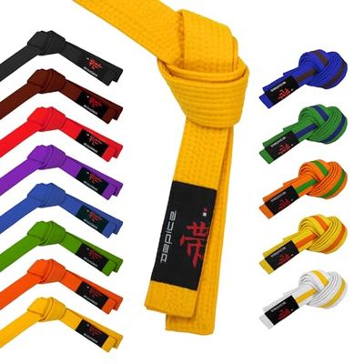 DEPICE Unisex - vechtsportriem voor volwassenen, oranje-groen, 320 cm